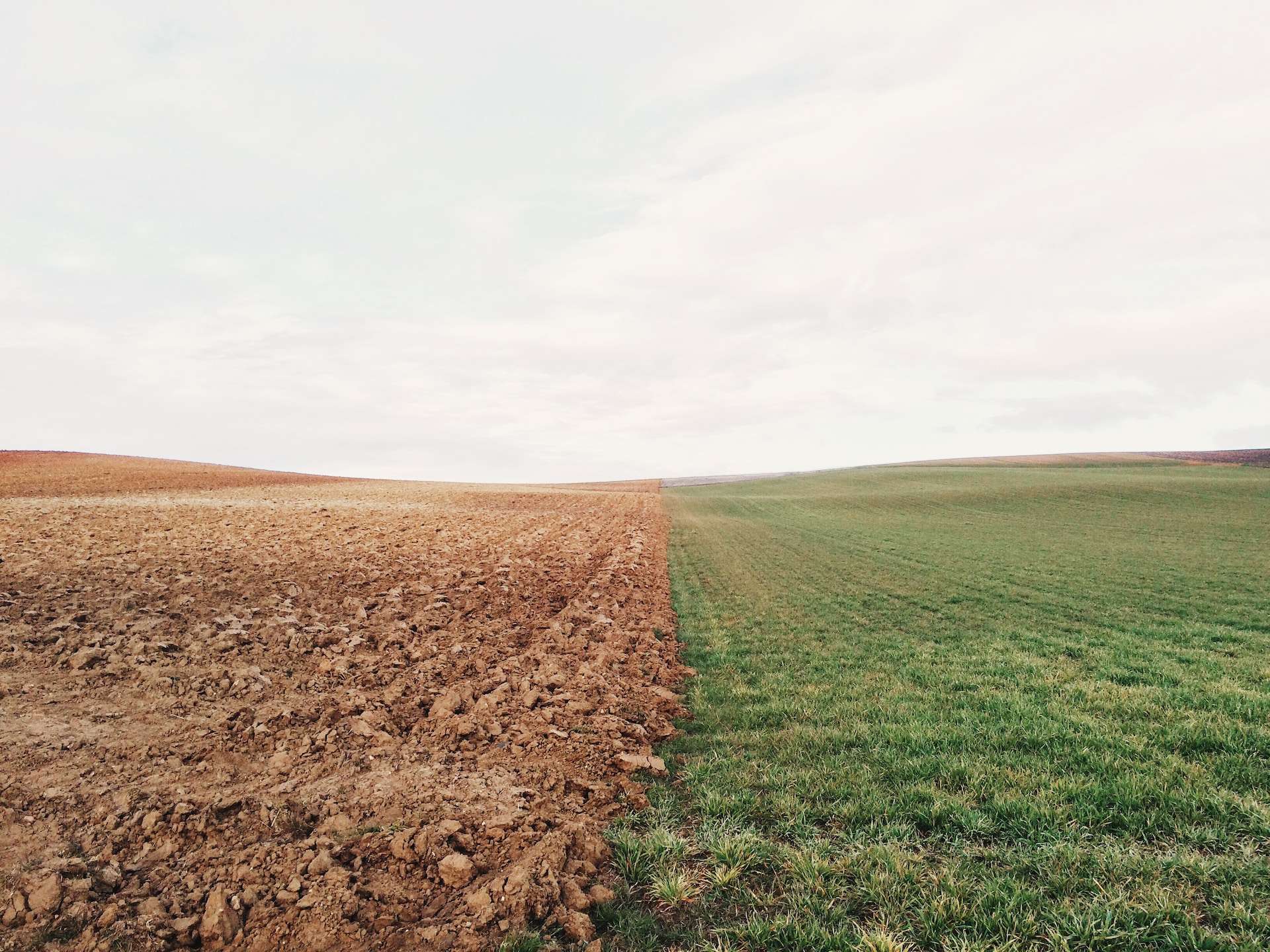 An image showing soil in a field, one half is tilled and one half is just grass
